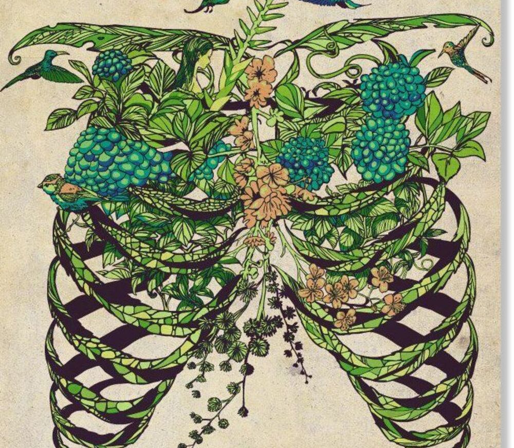 an-ecology-of-aliveness