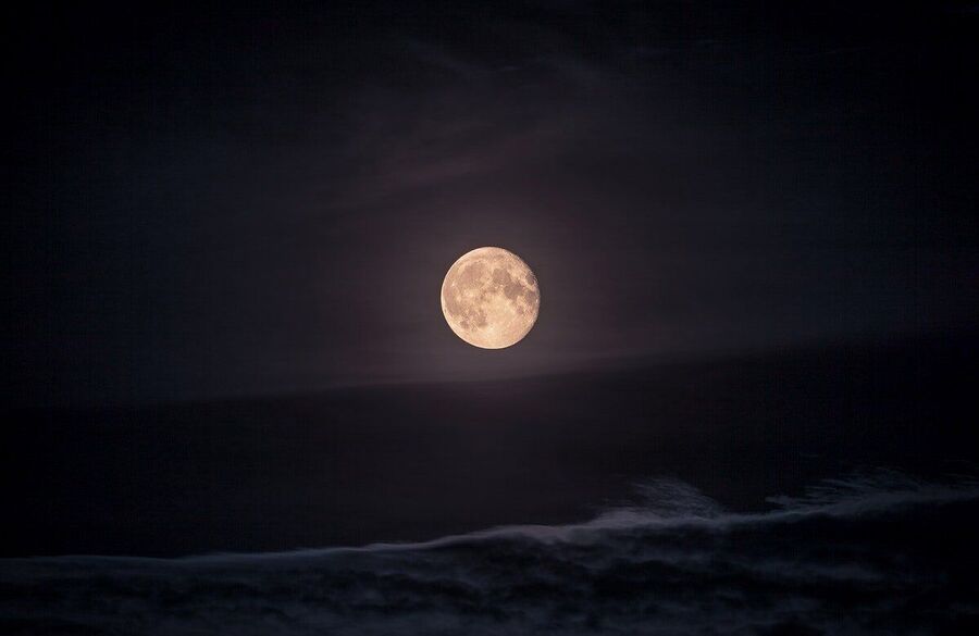 howl-at-the-moon-somatic-howling-circle