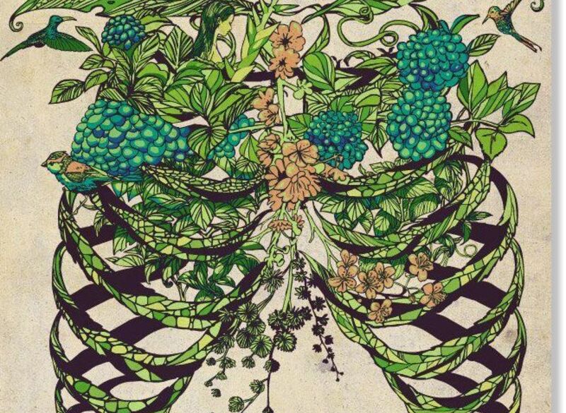An Ecology of Aliveness