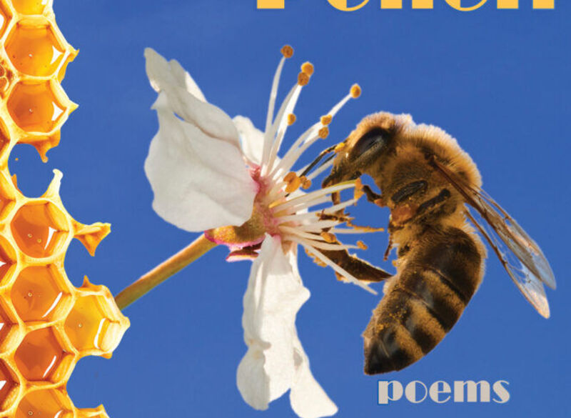 Incidental Pollen: Poetry Book Launch with Ellen Austin-Li