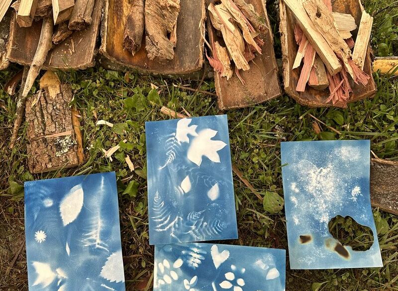 A Sun Worship: Nature Cyanotypes