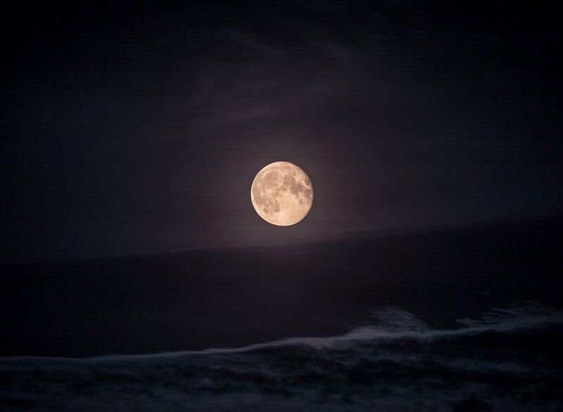 /events/2025/12/04/howl-at-the-moon-somatic-howling-circle