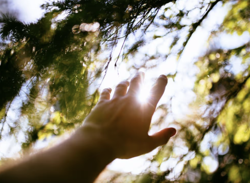 beLONGING: Connection, Contemplation and Creative Restoration for Adoptees