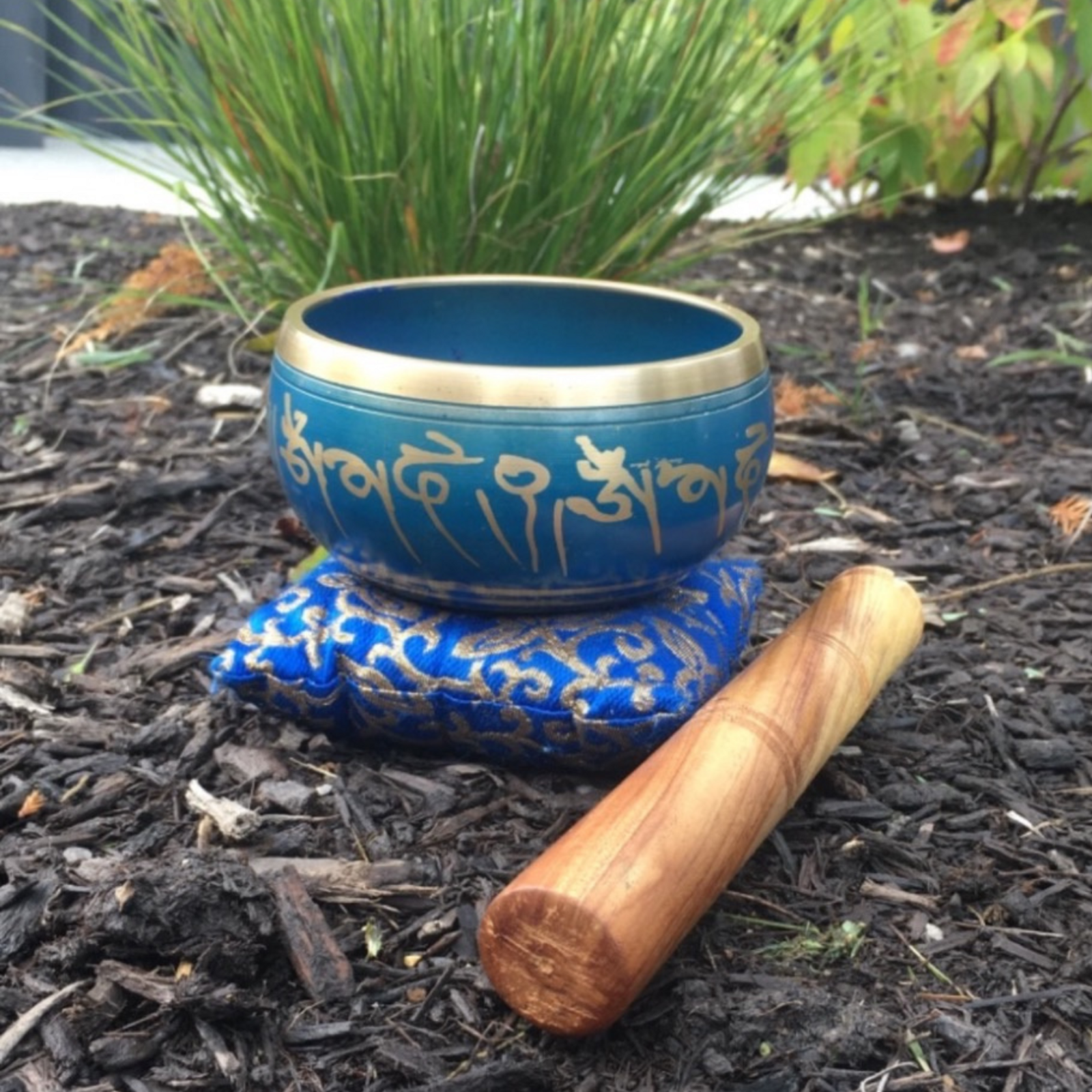morning-alignment-community-yoga