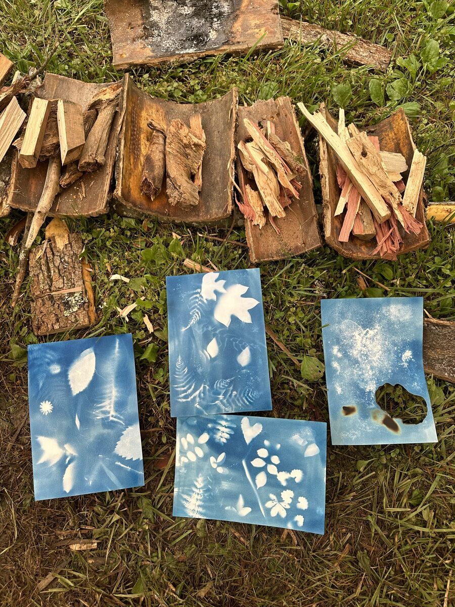 a-sun-worship-nature-cyanotypes
