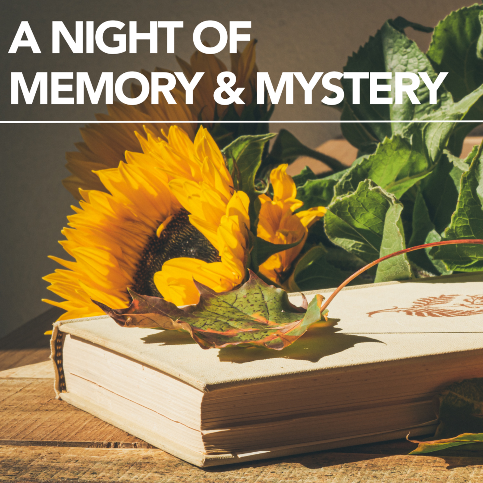 community-event-a-night-of-memory-mystery