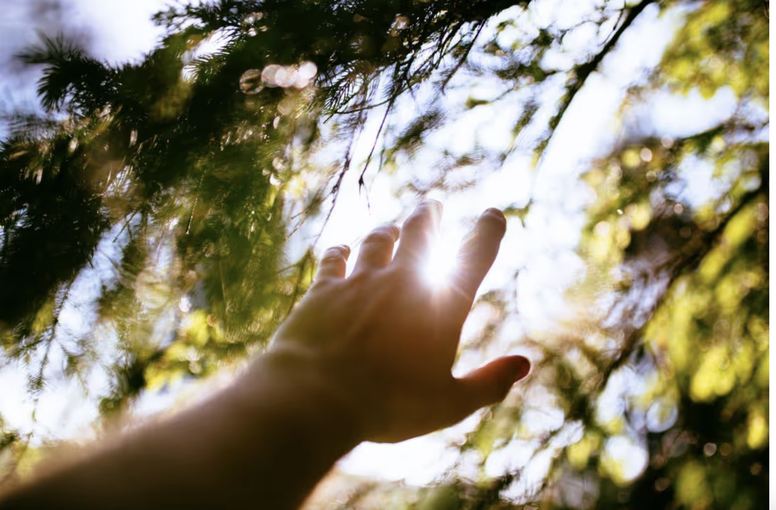 belonging-connection-contemplation-and-creative-restoration-for-adoptees