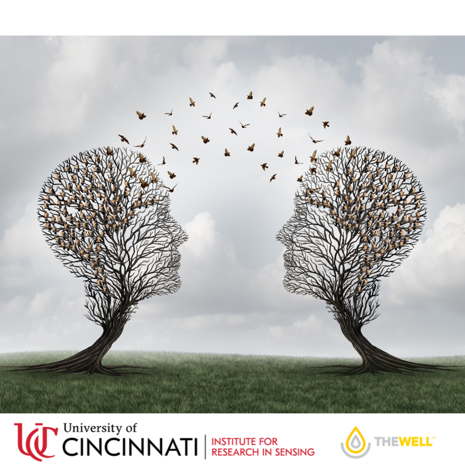 iris-alloy-discussion-somatics-sensing-healing-hope