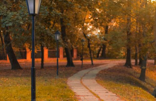 Mindful Music Moments - November 2025 Themes