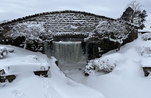 Mindful Music Moments - December Themes