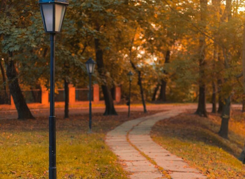 mindful-music-moments--november-2025-themes