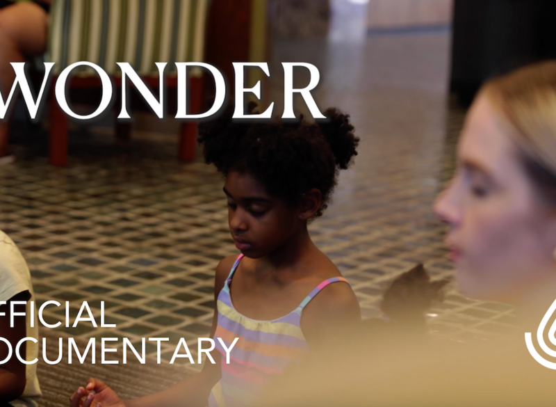 i-wonder-documentary-premiere