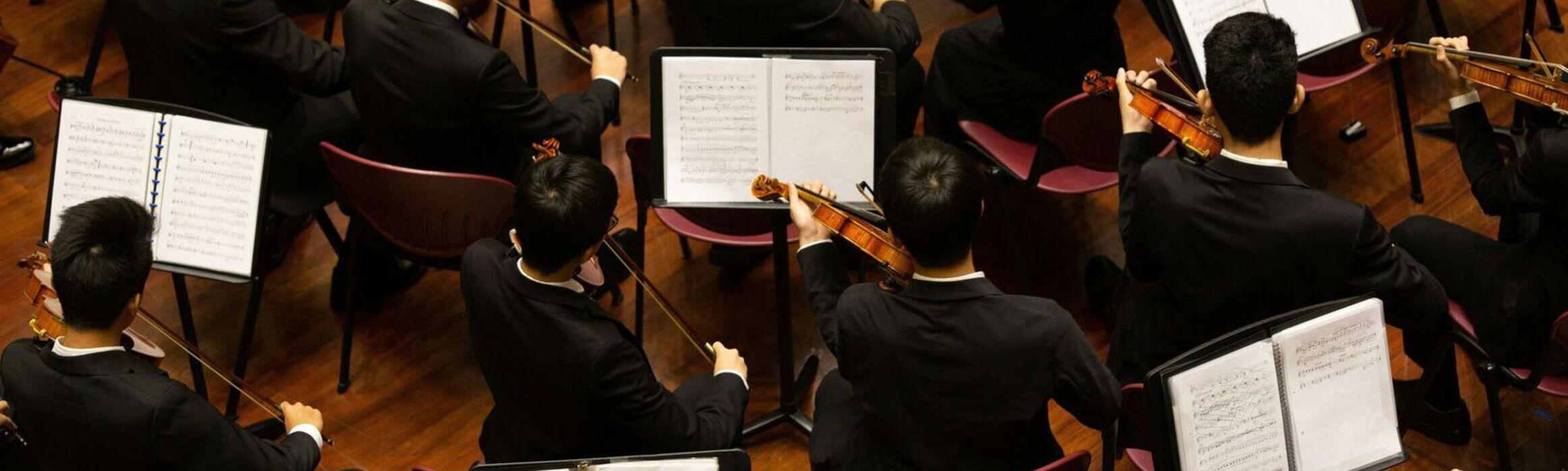 A view from behind the violin section of an orchestra. They are playing violin and reading the large sheet music on shared music stands.