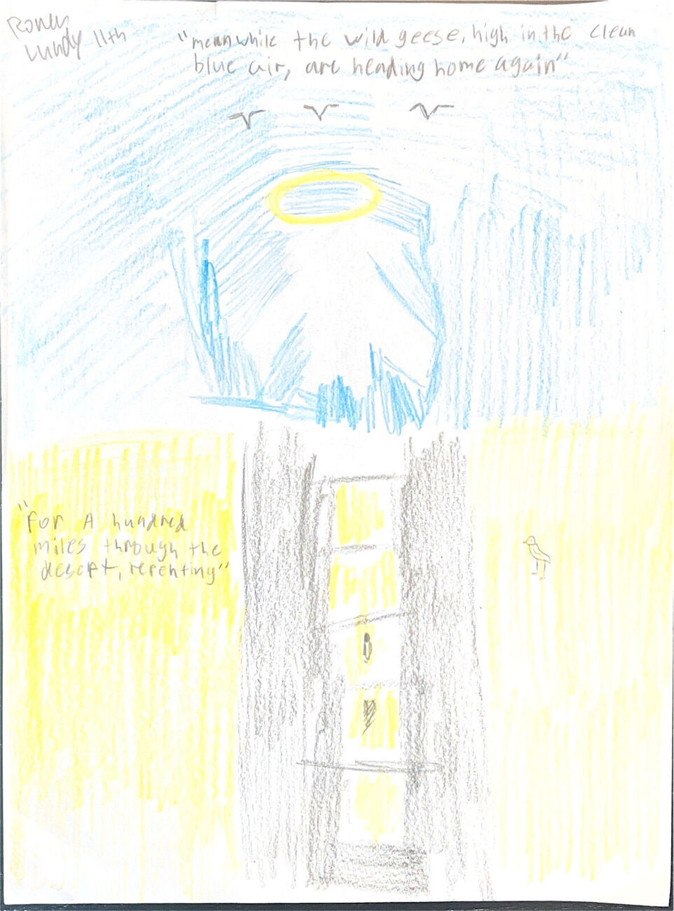 Wildgeesedrawingprojectconnecthughes